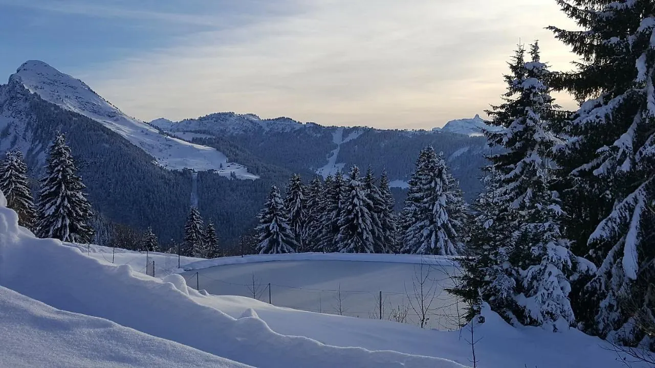 Julianna Residence Morzine 0*,
